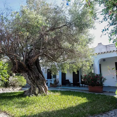 Villa Luxury Beachfront Kaleidos Calasetta